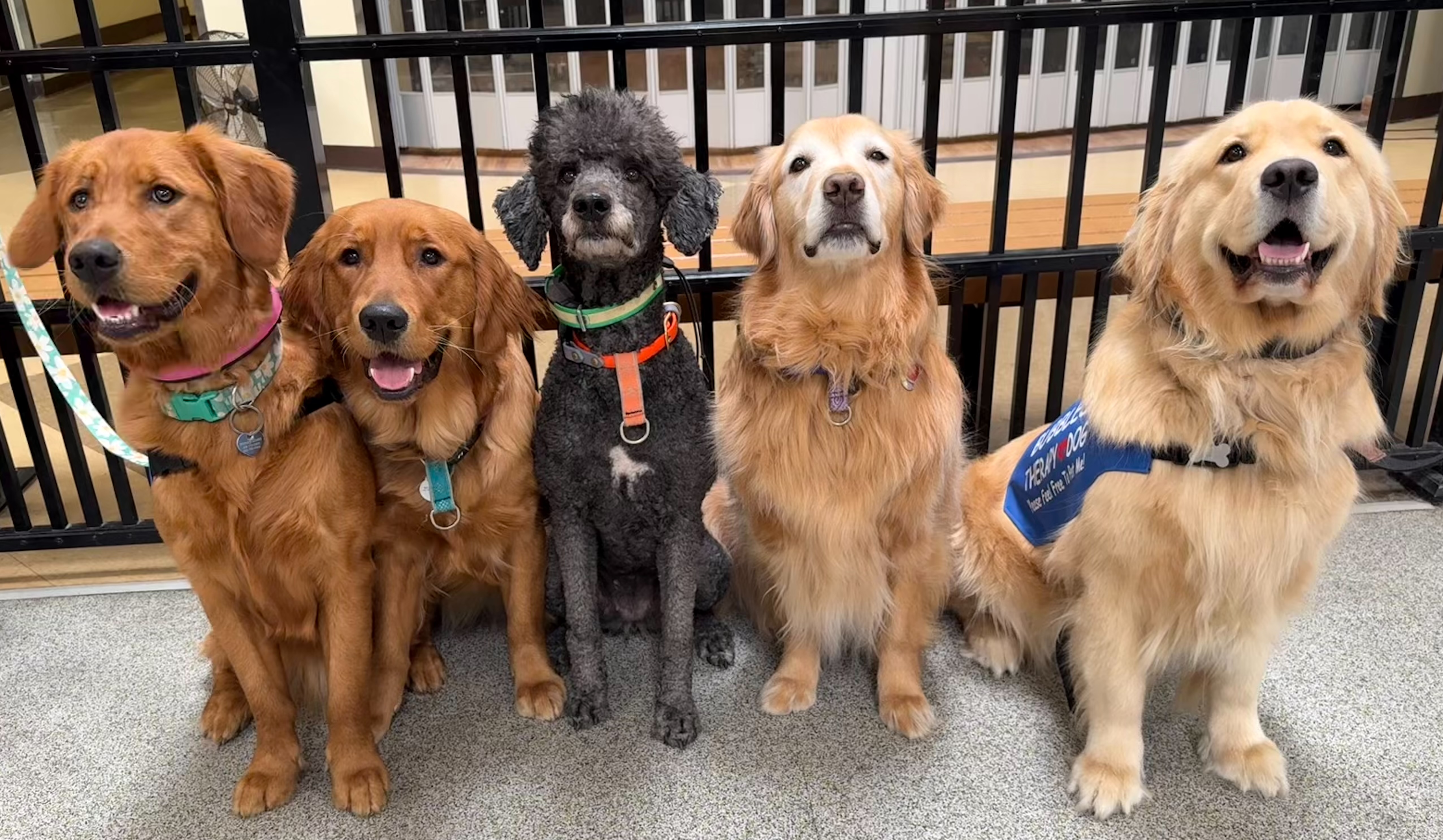 Group