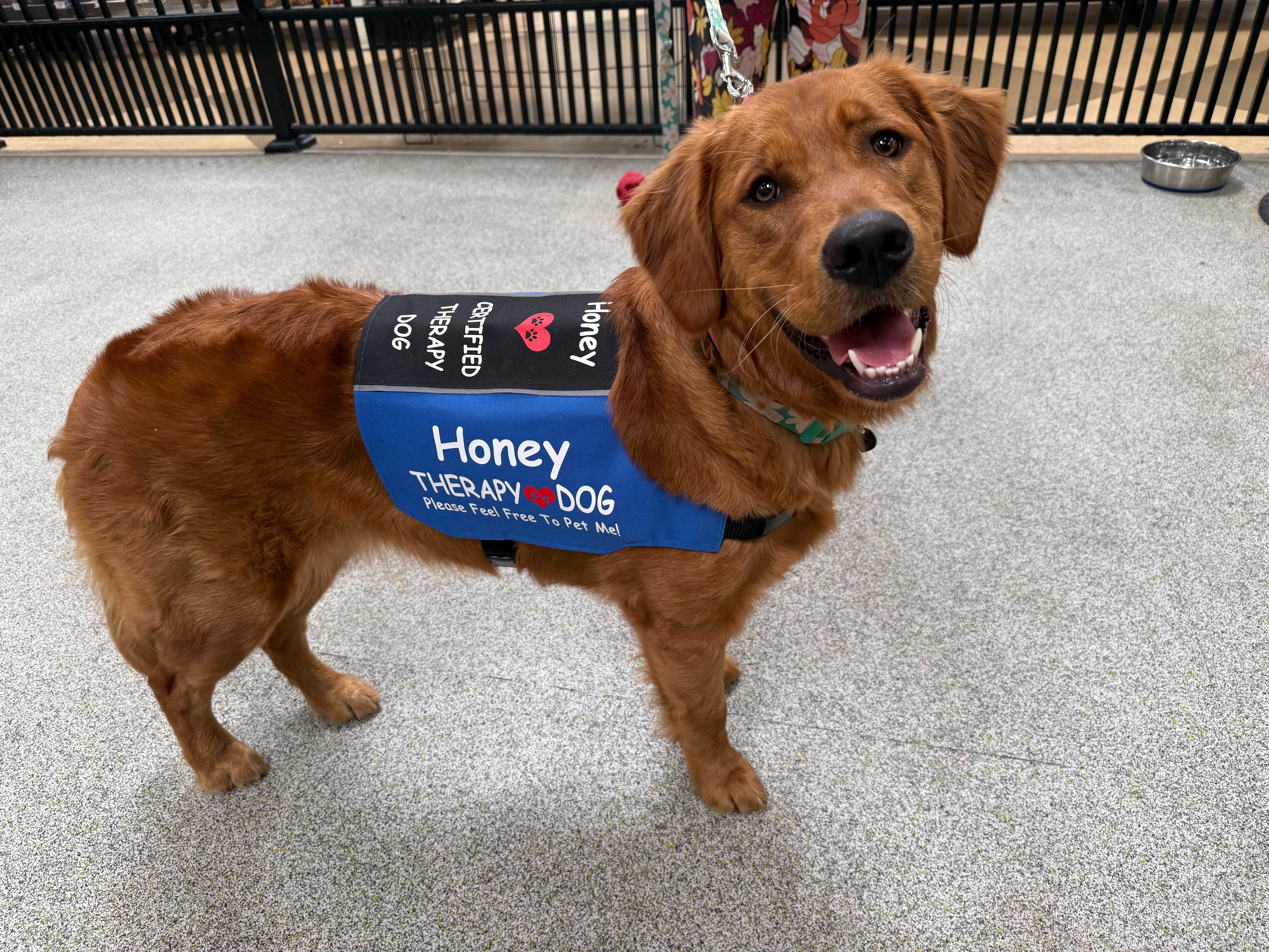 Honey